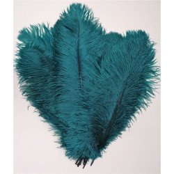 KOLIGHT  Natural Ostrich Feathers for DIY Set of 5pcs