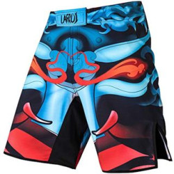 LAFROI Mens MMA Cross Training Boxing Shorts Trunks Fight Wear